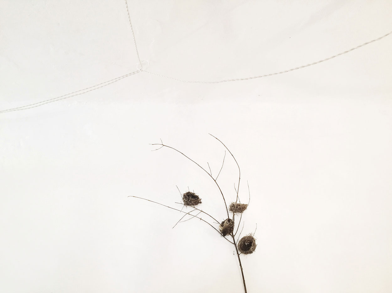 Trulli Spring Nests - Trullo Nostrano | Cisternino | Valle d'Itria